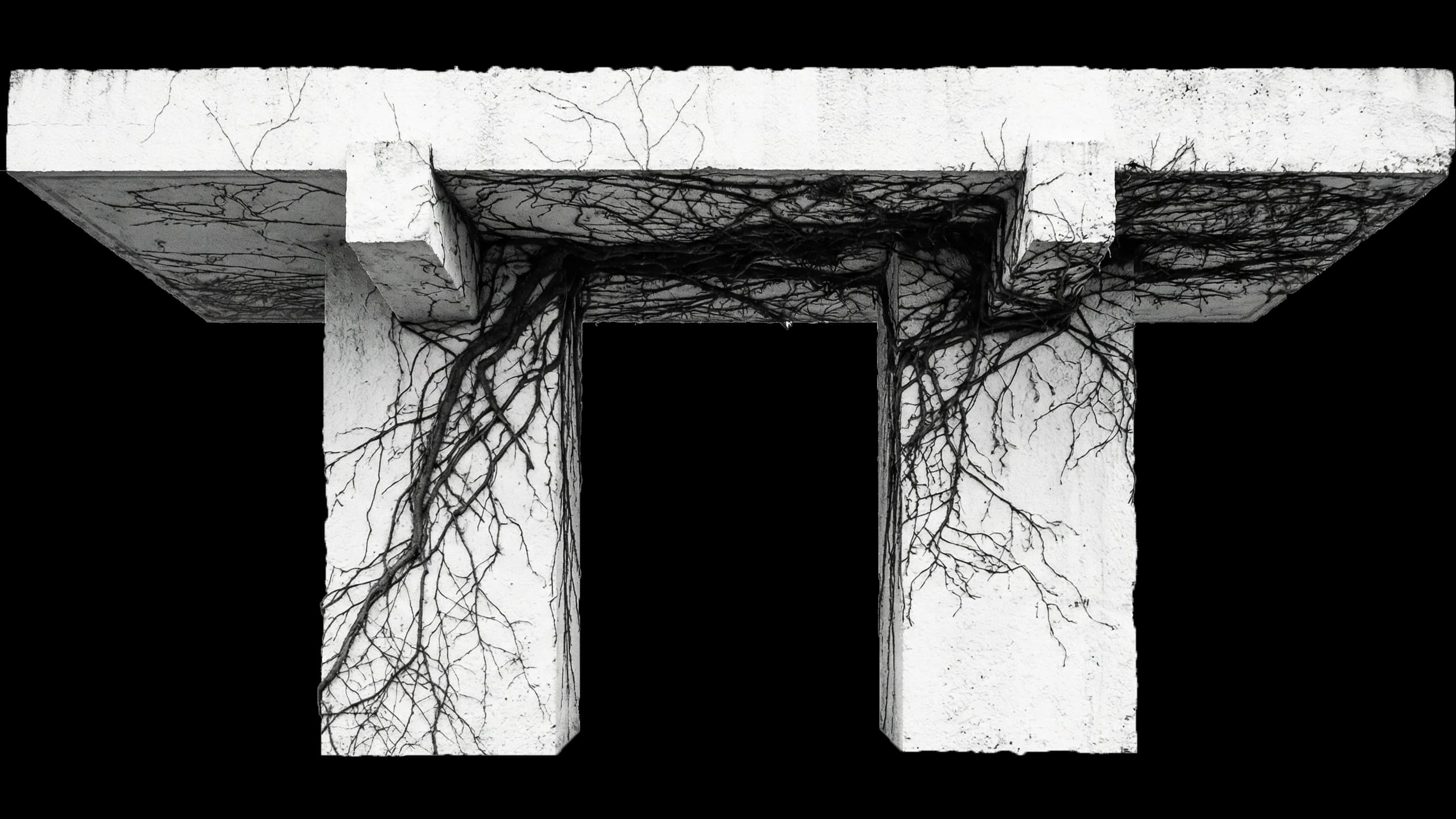Abstract root texture